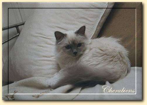 Zum Schlie&szlig;en bitte ins Bild klicken.